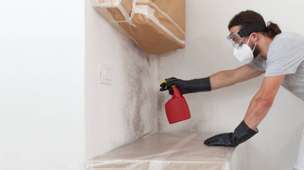 Professional Attic Mold Remediation technician working in Linden, TN