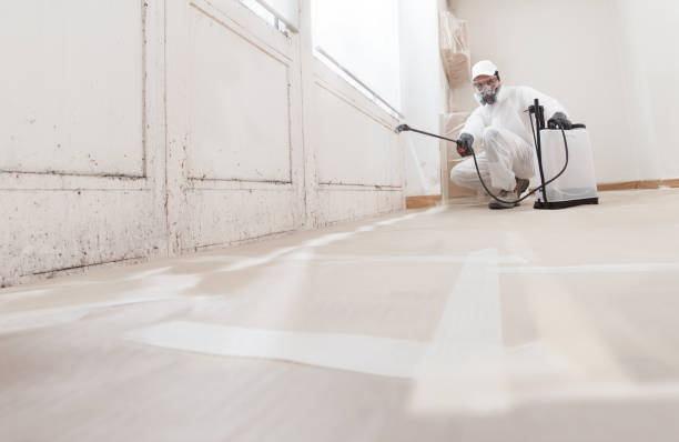 24/7 Emergency Attic Mold Remediation experts in Linden, TN